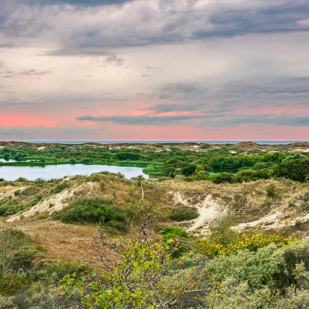 Laurence's Favorite Walking Routes